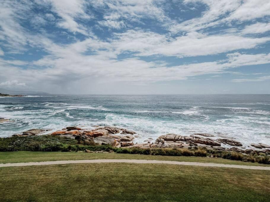 Oceanfront - Absolute Waterfront *